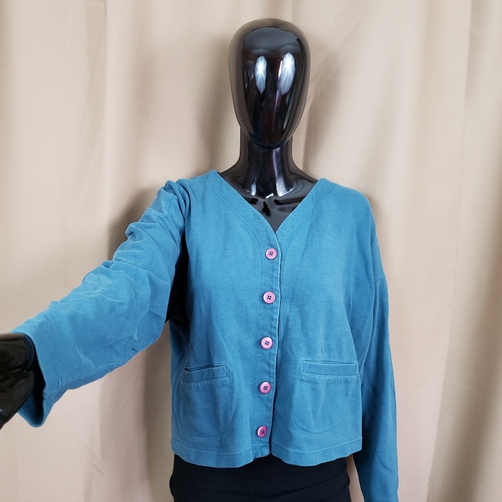Patagonia | Blue Pink Button Up Long Sleeve top